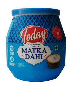 matka dahi (N. WT 450 GM)